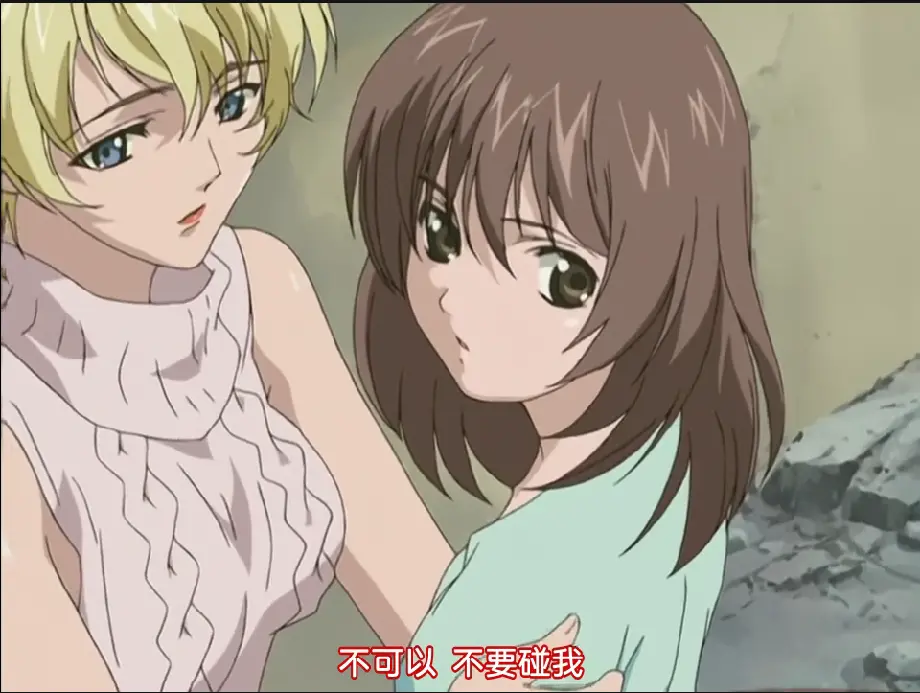 DARK SHELL 监中之艳全集未删减1080P超清中字完整版-无广告免费在线观看-夸克网盘百度云资源下载-樱花动漫网