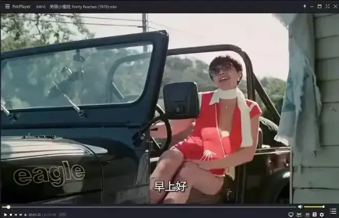 《美丽小蜜桃》1080P高清完整版免费观看-1978年复古喜剧电影在线播放-《美丽小蜜桃》未删减版高清中字