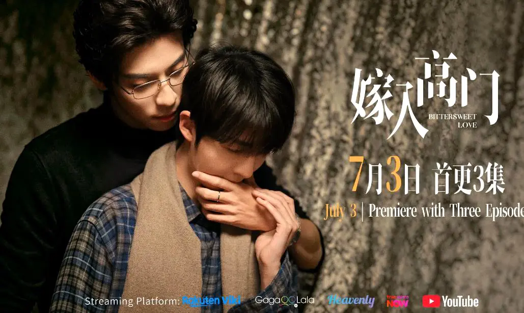 《嫁入高门的男人》22集全-高清免费在线观看-2026年新剧《嫁入高门的男人》完整版无广告播放-双男主高嫁爱情剧集